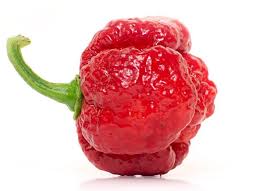 It lingers for a long, long time. Top 10 World S Hottest Peppers 2021 Update New Hottest Pepper