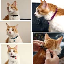 Comsaf Noble Cat Collar With Bell Set Of 4 For Cats Breakaway Colorful Safe Cat Collar Click Picture To Assess Even More Information Cat Collars Cats Pets