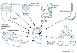 Image result for Otalgia