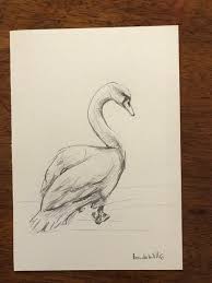 Art Nature Drawing Black And White Original Hand Drawn Swan Drawing Artwork Black White Graphite Bird Art Nature Drawing Bird Lovers Gift Scandi Or Country Style Decor Swan Drawing Nature Drawing Drawing Artwork