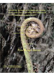 Image result for Cyclosorus molundensis