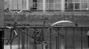 Image result for tv olandese