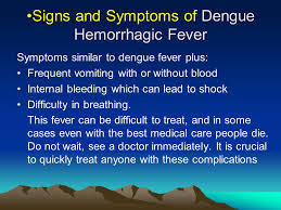 Dengue disease varies from mild fever to severe conditions of dengue hemorrhagic fever and shock syndrome. Dengue Fever Is Dangerous Ppt Video Online Download