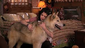 Your score has been saved for wizards unleashed (alex saves mason) part two. Requests Are Closed Reader X Mason Wizards Of Waverly Place