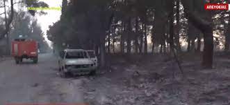 Κτήμα γάμου forest cavallari, λ. Koiriwtlrk2vjm