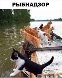 Четверг. Рыбный день)