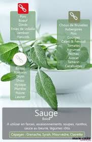 Cuisiner Avec La Sauge Nos Recettes Cuisine Et Vin Epices Et Herbes Cuisine