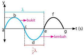 Gambar gelombang transversal sebagai berikut Gelombang Transversal Pengertian Contoh Rumus Dan Contoh Soal Materiipa Com