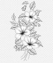 Choose from different colors and draw with a pencil and eraser. Floral Design Cut Flowers Drawing Branch M 02csf White Pencil Png Pngegg