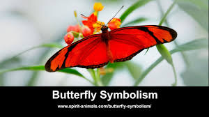 It is up to us to determine what and when this symbolism and meaning makes sense in our present moments, past experiences, and future endeavors. Butterfly Symbolism Dreams And Messages Spirit Animal Totems
