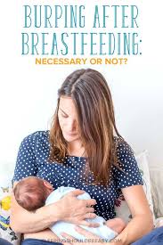 Burping A Newborn After Breastfeeding Necessary Or Not Burp A Newborn Burping Baby Breastfeeding