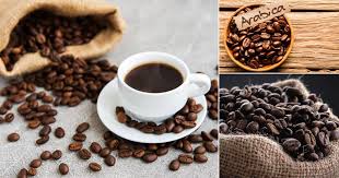 Coffee resource in this article, we will introduce and identify characteristics of the four main types of coffee beans currently in commercial circulation: Types Of Coffee Beans In India India Gardening