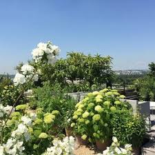 Rooftop Toiture Terrasse Plantee De Fleurs Xavier De Chirac Cote Maison Toiture Terrasse Terrasse Cote Maison