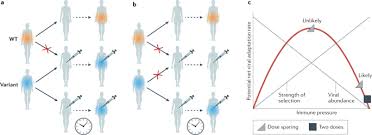 Mounting evidence suggests covid vaccines do reduce transmission since vaccines began rolling out across the world, many scientists have been hesitant to say they can reduce transmission of the virus. Concerns About Sars Cov 2 Evolution Should Not Hold Back Efforts To Expand Vaccination Nature Reviews Immunology