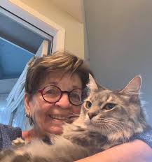 International Hug Your Cat Day Humor