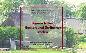 Wer einen baum gegen den willen seines nachbarn fällt bzw. Diy Wann Ist Der Richtige Zeitpunkt Um Einen Baum Zu Fallen