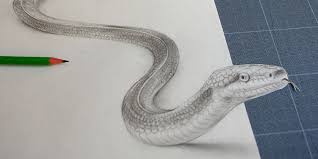 31 décembre 201915 janvier 2020 gaëlleleave a comment. Comment Dessiner En 3d Apprendre A Dessiner Des Animaux En Trompe L Åil