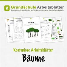 Kostenlose Arbeitsblatter Und Unterrichtsmaterial Fur Den Sachunterricht Zum Thema Baume Arbeitsblatter Grundschule Grundschule Unterrichtsmaterial Grundschule