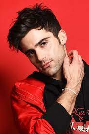 Max Ehrich Wiki Net Worth Height Age Bio Facts Yellow By Coldplay The Incredible True Story Max
