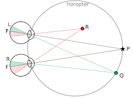 Maybe you would like to learn more about one of these? Binocular Vision Wikipedia