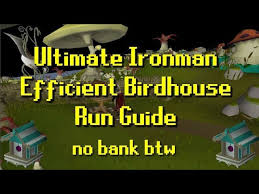 Oak bird houses are used in setting bird house traps on fossil island, requiring a hunter level of 14 to use. Ultimate Ironman Efficient Birdhouse Run Guide Youtube