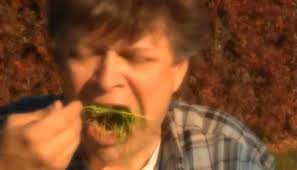 Gods' Green Earth (2011)