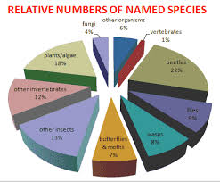 How Many Kinds Of Organism Are There