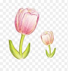 Nah, oleh sebab itu kami sudah mengumpulkan koleksi terbaru seputar sketsa pohon jambu biji yang bisa kamu jadikan inspirasi diameter buahn 15 cm dengan berat tiap buah mencapai 1200 1700 g. U925bu7b46u753b Png Pngegg