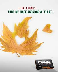 En el otoño te cae el mejor papel 🍂 Te amamos flor de otoño 🧡 #Stamps  #stampsworld #stampscollection