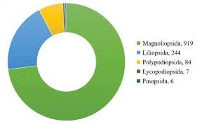 Image result for Peddiea fischeri