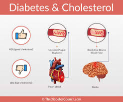 diabetes and cholesterol what is the relationship