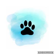 These highlights will remain visible at the top of your instagram page, so having a cohesive and consistent look by using icons, really helps your page to stand out. Tumblr Icons Instagram Highlight Cover Dog Novocom Top