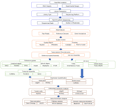 See what david ricardo (davidricardoriveracanales) has discovered on pinterest, the world's biggest collection of ideas. Ijms Free Full Text Rna Seq And Chip Seq As Complementary Approaches For Comprehension Of Plant Transcriptional Regulatory Mechanism Html
