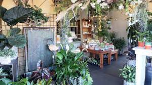 Find a group in san mateo. Blossoms Flower Shop Home Facebook