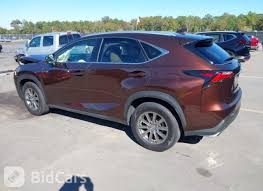 Image result for Autumn Shimmer 2017 NX