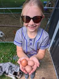 Why is my chicken laying soft shell eggs?