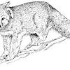 Fox coloring page mandala coloring pages printable com. 1