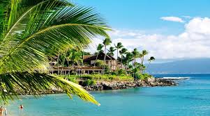 We did not find results for: How To Move To Hawaii From Australia References