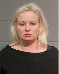 ᐅ Illinois Criminal Records 2009-2025