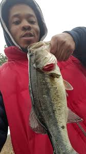 Secret lairs revealed at 1pm Atlantic time