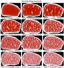 The Wagyu Legend B Bar S Cattle B Bar S Cattle