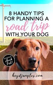 Jul 20, 2020 · if you are doing a long road trip with your dog, incorporate frequent breaks (every three to four hours) for pet relief, a short walk, and water. 8 Tips For Planning A Cross Country Road Trip With Your Dog Free Checklist Hey Djangles