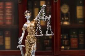 Image result for Justicia nyassana