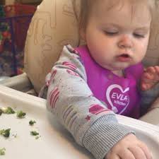 The Easy Natural Life