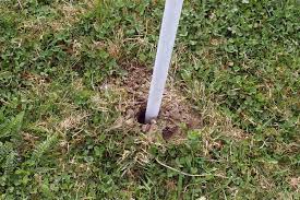 Wer testen möchte ob er maulwürfe oder wühlmäuse im garten hat, sollte einmal leicht das loch des erdhaufens zuscharren. Wuhlmause Vertreiben Frag Mutti