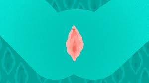 Pets:way too many to count! G Spot In Women What It Is How To Find It And Sex Positions