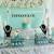 Quinceanera Tiffany And Co Theme