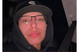 Hanish named president of board