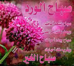 بطاقات صباح الخير 2017 أجمل صور بطاقات صباح الخير للحبيب وأحلى كروت رومانسية حبيبي للزوج 2018 almastba com 1390969197 923 j good morning flowers flowers plants