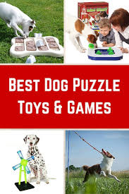 Best Dog Puzzle Toys Dog Games Weebly Website Help You Design Your Weebly Website With 5 Order Now Weebly Weeblydesign Weeblywebsite Keep Your Dog